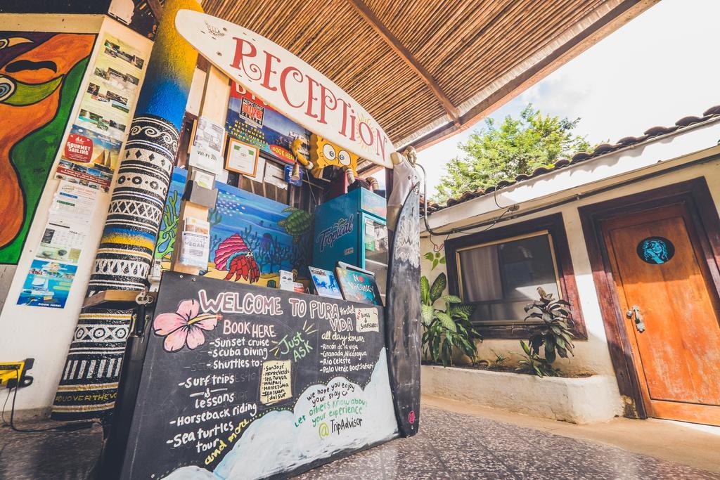 Pura Vida Hostel Тамариндо Экстерьер фото